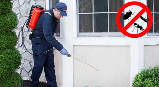 Bulanık Böcek İlaçlama böcek ilaçlama ve haşere kontrolü — ilaclama-tr.com